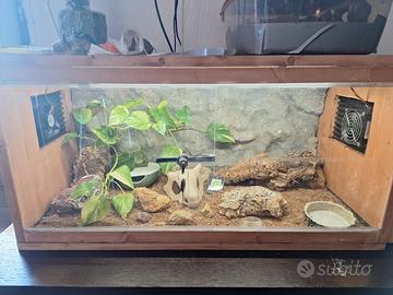 Terrari bioattivo e sfondi 3d geco leopardino