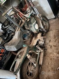 Piaggio Altro modello - Anni 50