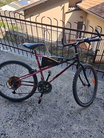 Bicicletta 