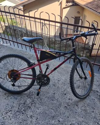Bicicletta 