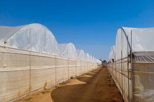 Azienda agricola