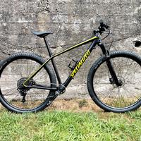 Specialized Epic 
