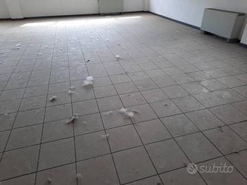Immobile di 300 m² con 1 locale a Lucca