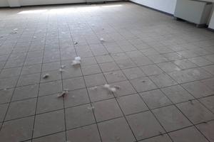 Immobile di 300 m² con 1 locale a Lucca