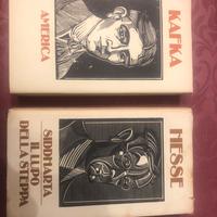 Due classici della letteratura  Kafka ed Hesse