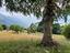 Immagine 26