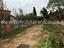 Immagine 21