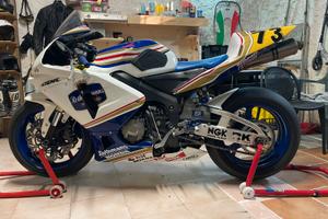 Honda cbr600rr radiata uso sportivo