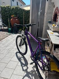 Bici bikelife PREZZO TRATTABILE