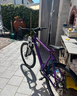 Bici bikelife PREZZO TRATTABILE