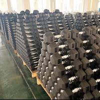 Manubri nuovi da 2.5 a 40 kg