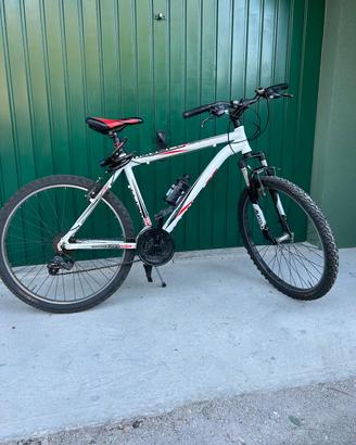 Mountain Bike Hornet TT Racing Experience