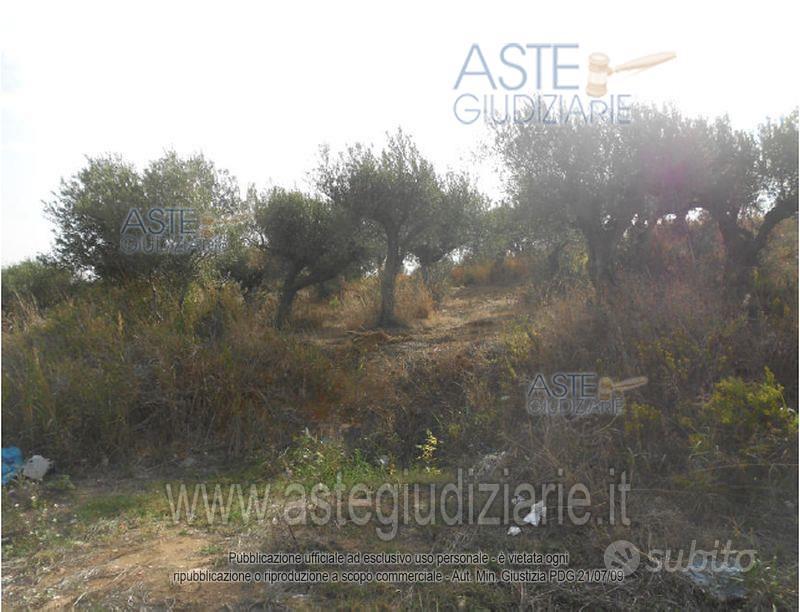 Terreno Agricolo Alcamo [A4328596] - Vista 3
