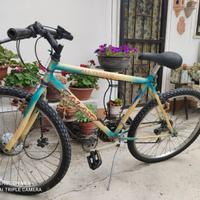 Bicicletta ragazzo