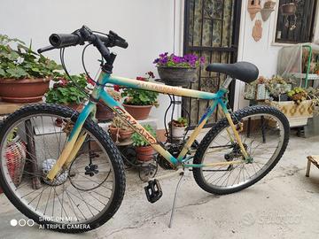 Bicicletta ragazzo