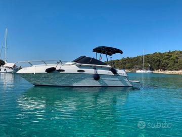 Day cruiser Four Winns 258 Vista