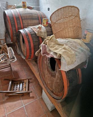 botti in castagno