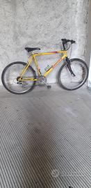 MTB LONGONI GIALLA TAGLIA L