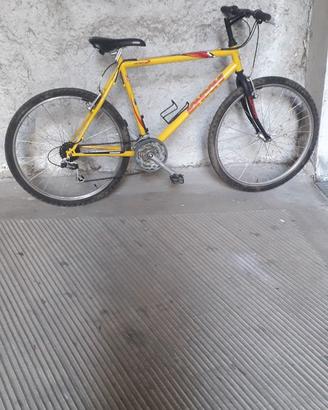 MTB LONGONI GIALLA TAGLIA L