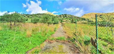 Rustico/Casale/Corte Carini [Cod. rif CNT182VRG]