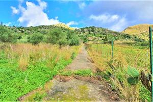 Rustico/Casale/Corte Carini [Cod. rif CNT182VRG]