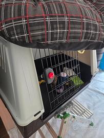 Kennel abbeveratoio e giochi