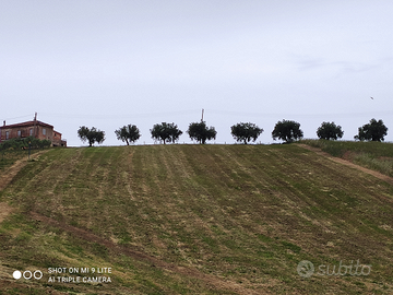 Terreno agricolo