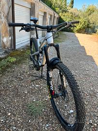 Canyon Spetral Mullet CF