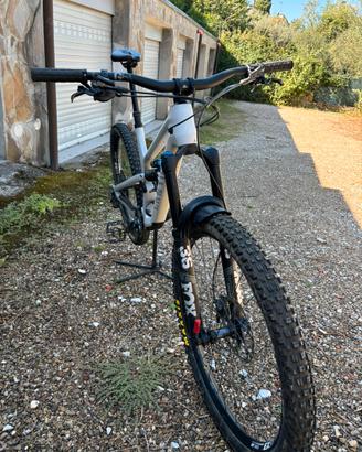 Canyon Spetral Mullet CF