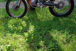 Trs one RR trial 2024