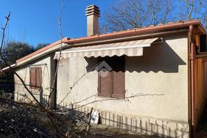 RUSTICO A PALESTRINA