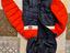 Immagine 3
