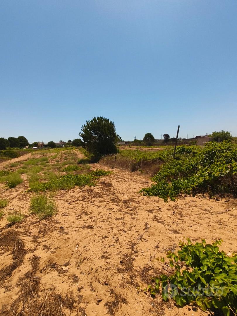 Tre Fontane rustico + 1600mq di terreno agricolo - Vista 5