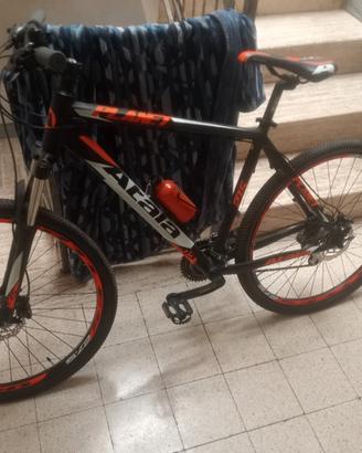 bicicletta sportiva 