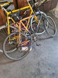biciclette di diversa taglia