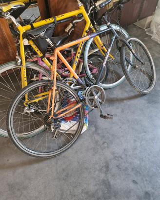 biciclette di diversa taglia