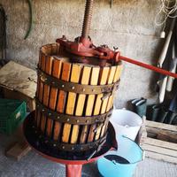 Pigiatrice, Torchio 50, Mastellone e botti per uva