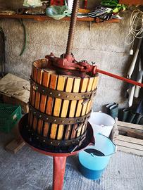 Pigiatrice, Torchio 50, Mastellone e botti per uva