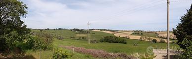 Terreno agricolo con ulivi