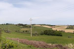Terreno agricolo con ulivi