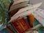 Immagine 4