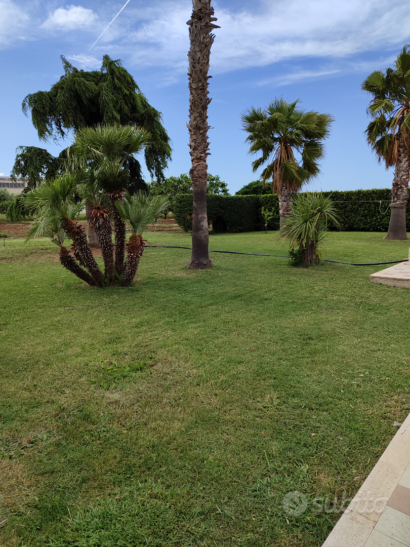 House in Termoli, Campobasso - Vista 3