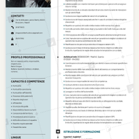 Autista privato patente B