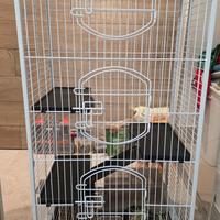 gabbia uccelli o roditori 130x44x64