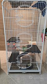gabbia uccelli o roditori 130x44x64