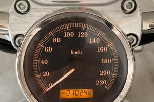 Harley Davidson XL 1200 c