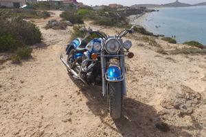 Castom wild star 1600cc