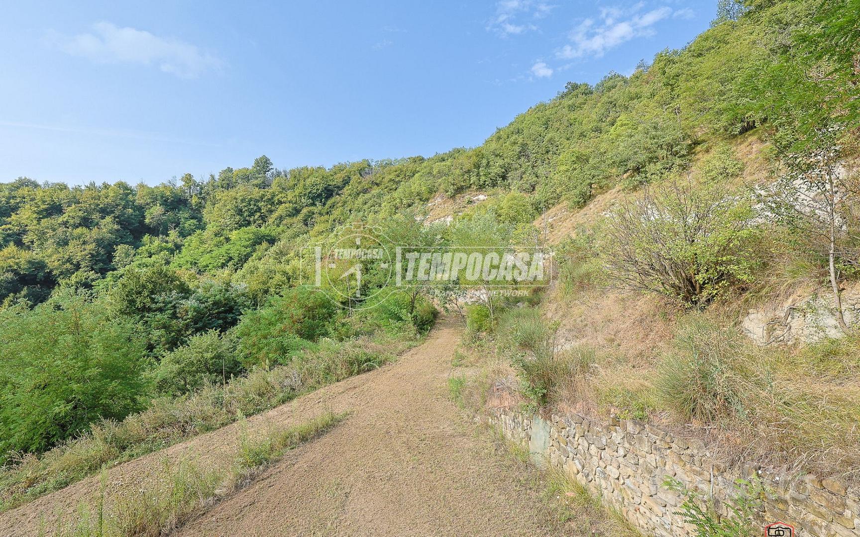 RUSTICO DA RICOSTRUIRE CON 11 ETTARI DI TERRENO - Vista 2