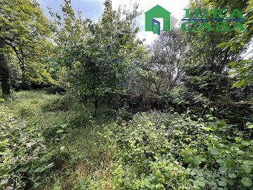 Immobile in Corte con Giardino
