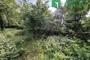 Immobile in Corte con Giardino